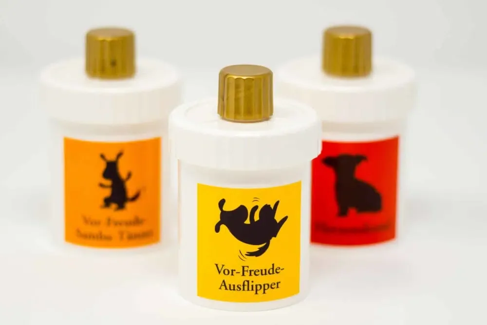 Belohnungsspender Jack Potter – Bild 8